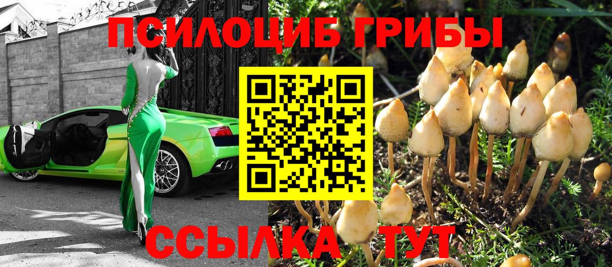 Псилоцибиновые грибы MAGIC MUSHROOMS  Вход с VPN  купить наркотик  Гусев 